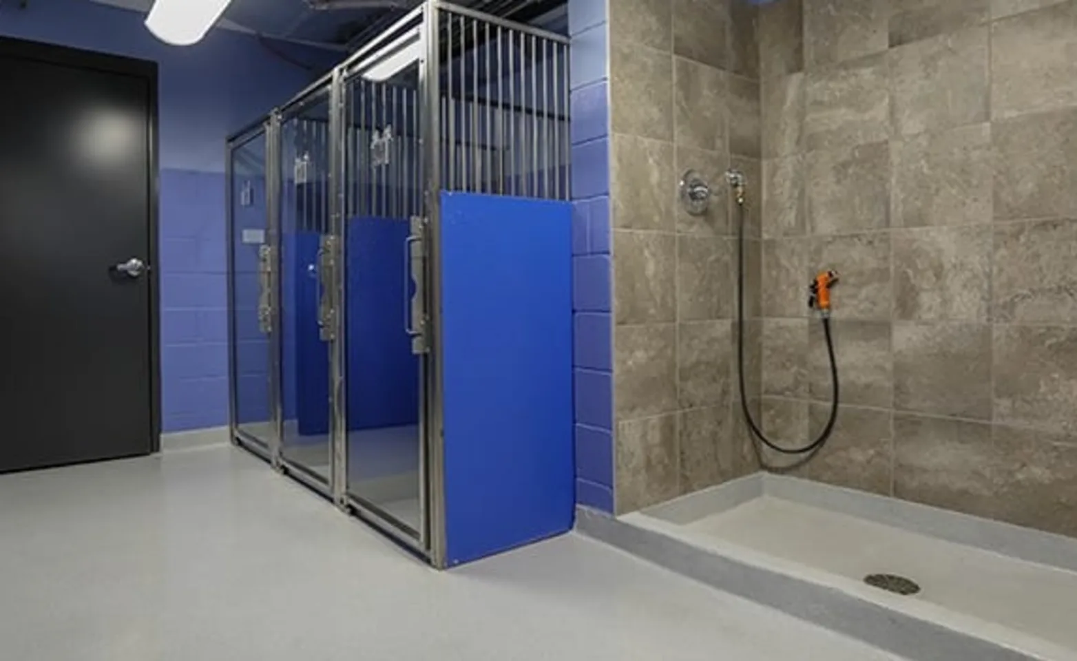 Grooming Facility with blue walls at Carriage Animal Hospital